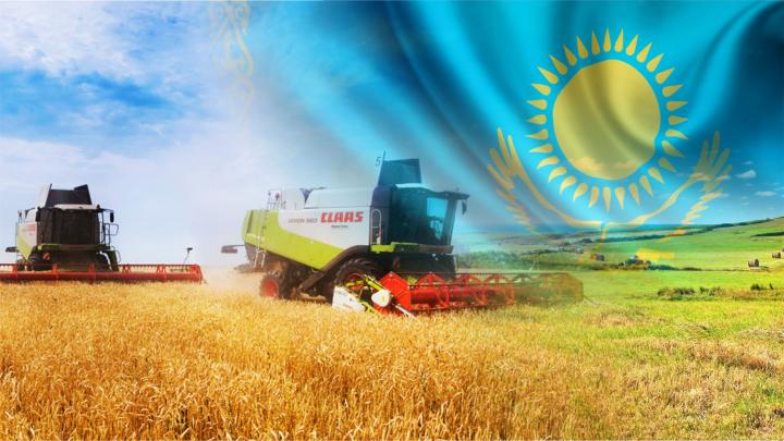 Итоги 2022 года в Казахстане: Сельское хозяйство