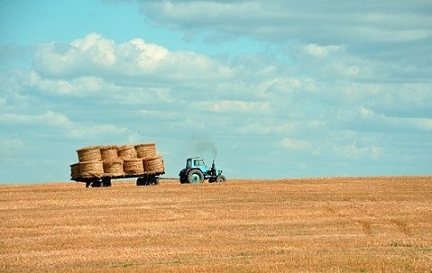 В Казахстане заготовлено порядка 8 млн тонн сена